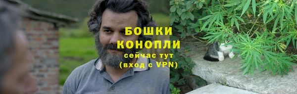 дживик Зерноград