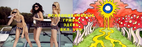 дживик Зерноград