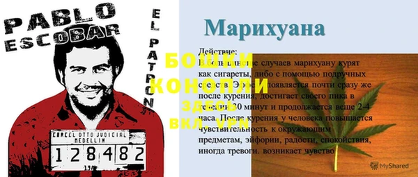 дживик Зерноград