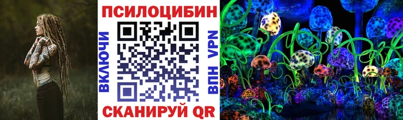 Псилоцибиновые грибы MAGIC MUSHROOMS Купить где Нолинск
