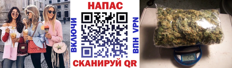 Бошки Шишки конопля  Купить  Нолинск 